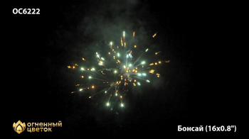 ОС6222 Бонсай