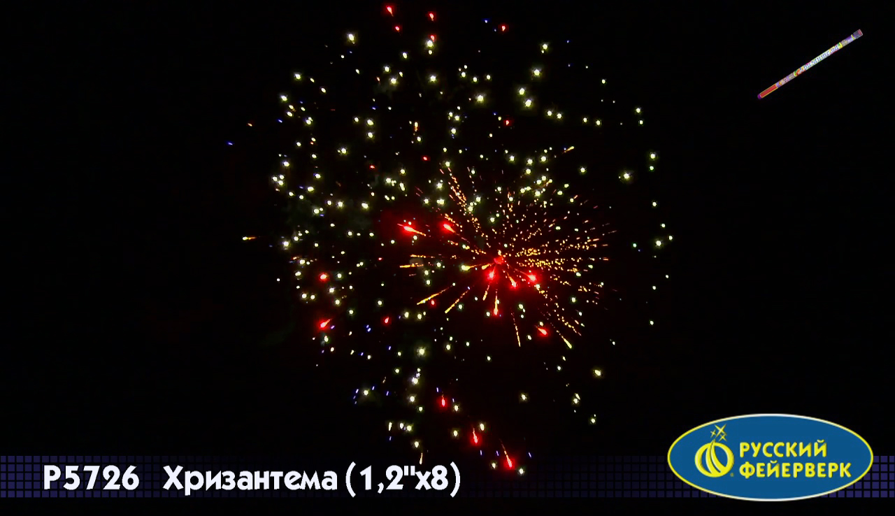 Хризантема (1,2х8)