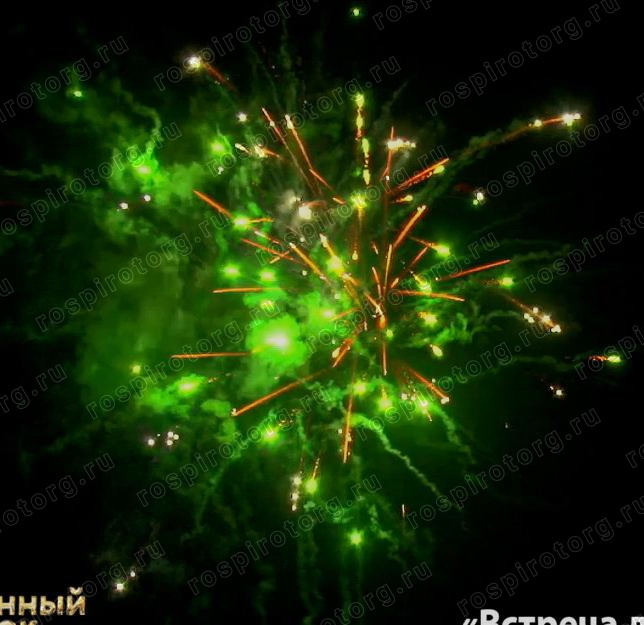 Встреча друзей (1,1х48)