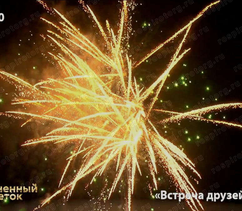 Встреча друзей (1,1х48)