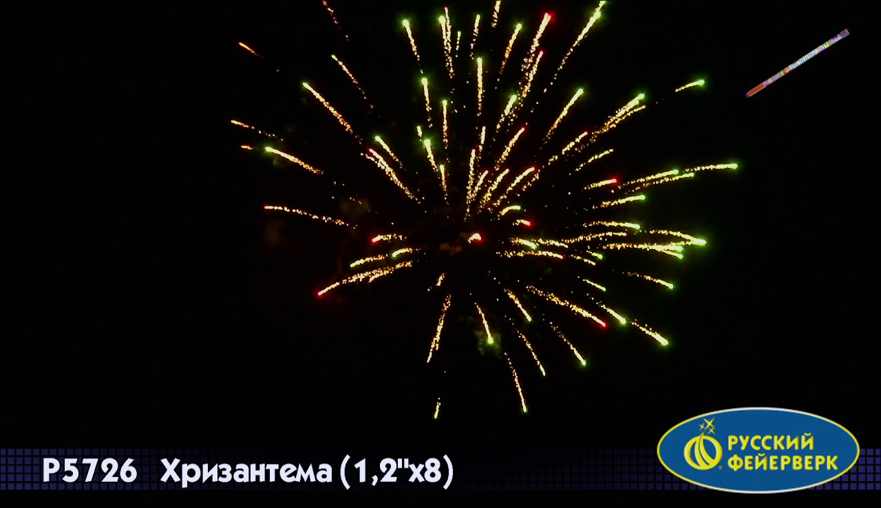 Хризантема (1,2х8)