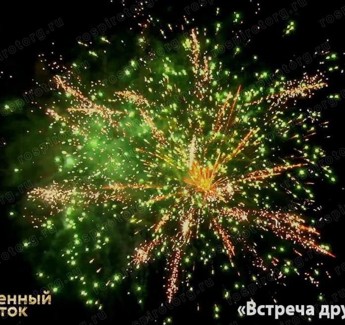 Встреча друзей (1,1х48)